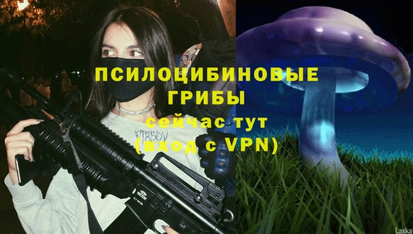 прущие грибы Козельск