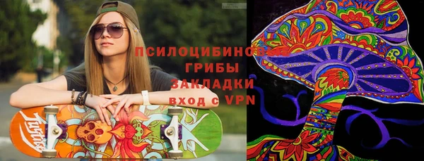 прущие грибы Козельск